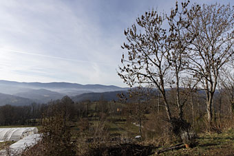 Paysage
